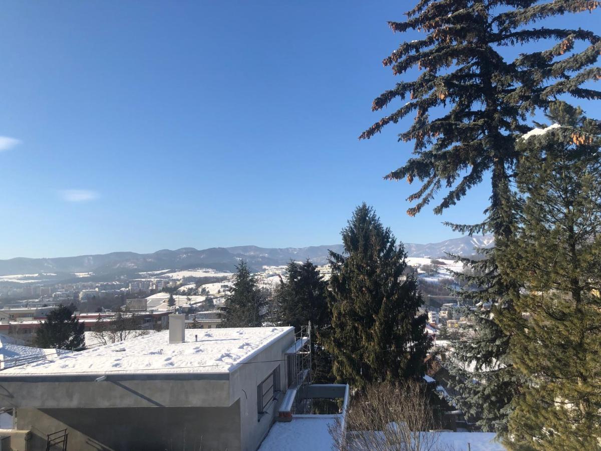 Apartment, Sun Terrace, Privat Parking Банська Бистриця Екстер'єр фото